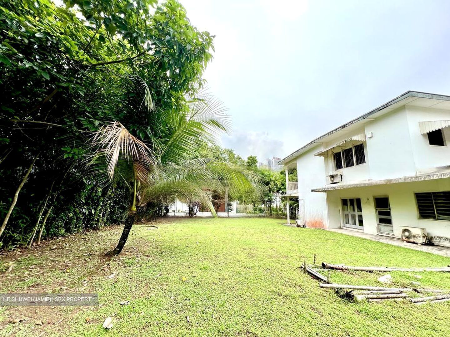 Clementi Park (D21), Detached #422355891